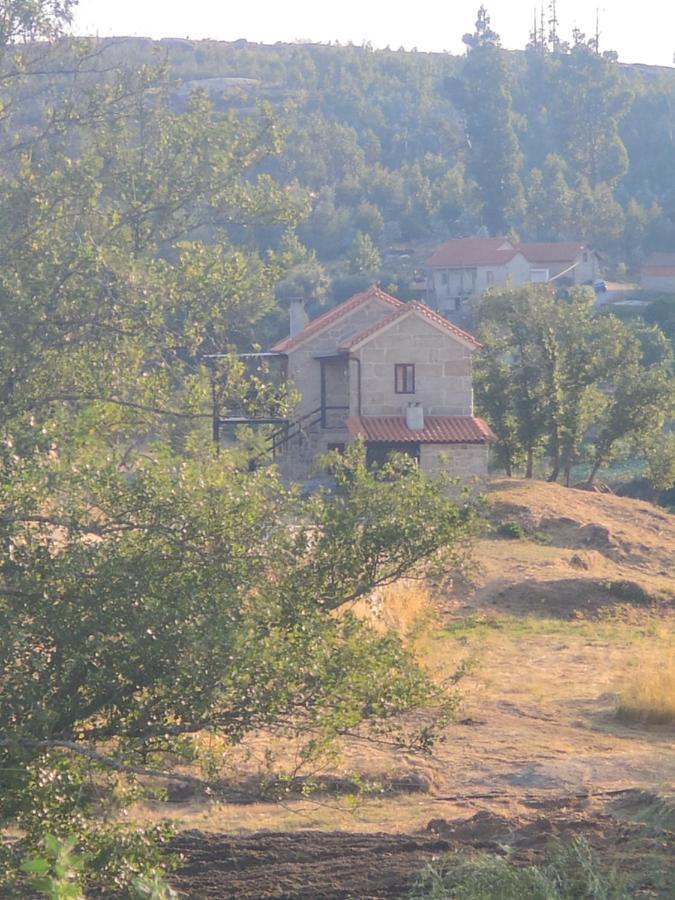 Lagares da BeiraQuinta Da Adarnela公寓 外观 照片