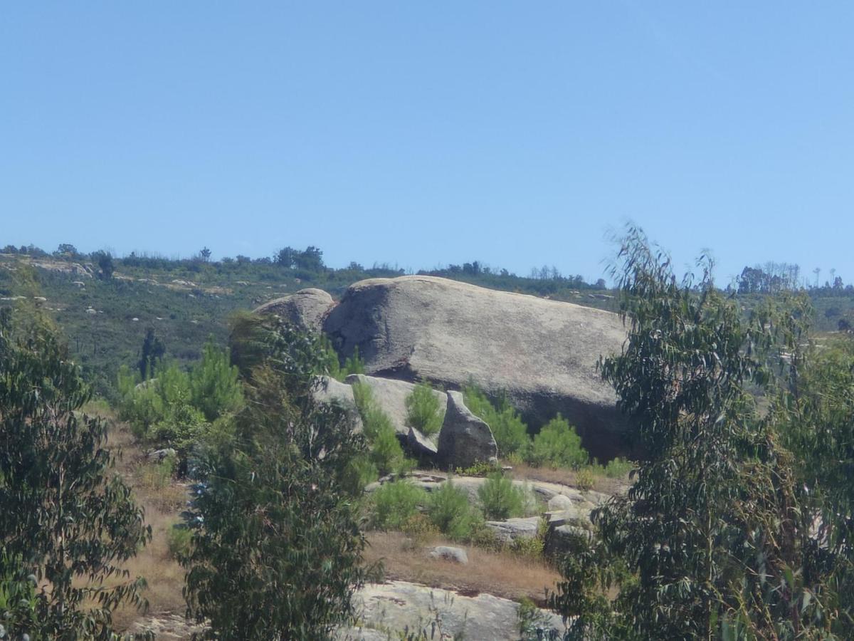 Lagares da BeiraQuinta Da Adarnela公寓 外观 照片