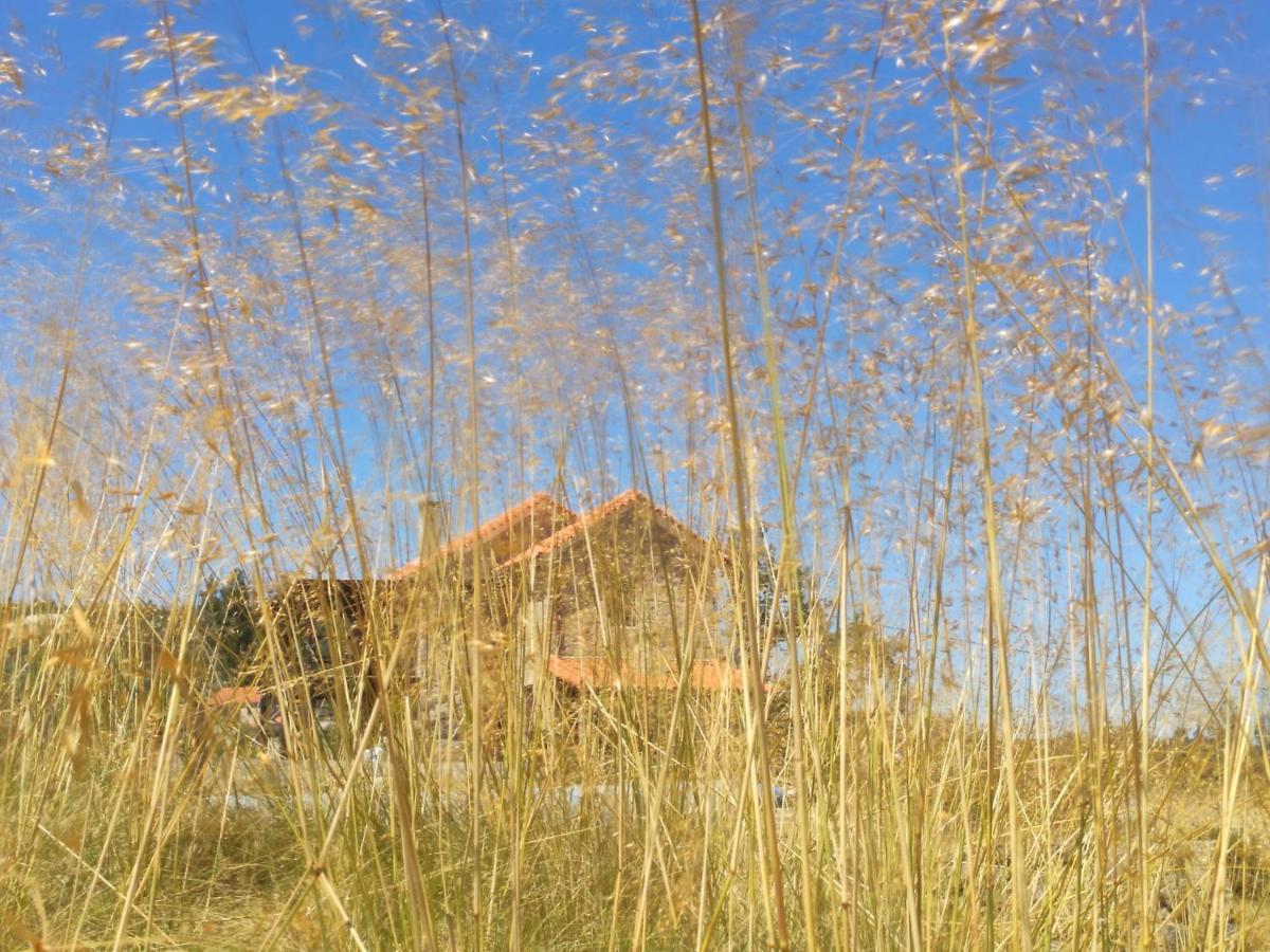 Lagares da BeiraQuinta Da Adarnela公寓 外观 照片