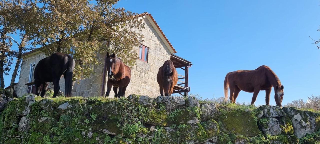 Lagares da BeiraQuinta Da Adarnela公寓 外观 照片