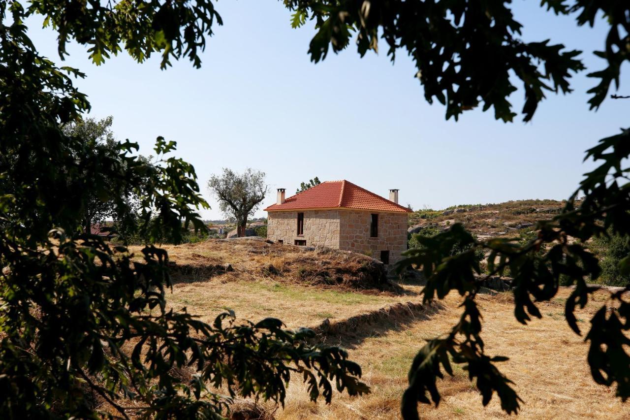 Lagares da BeiraQuinta Da Adarnela公寓 外观 照片