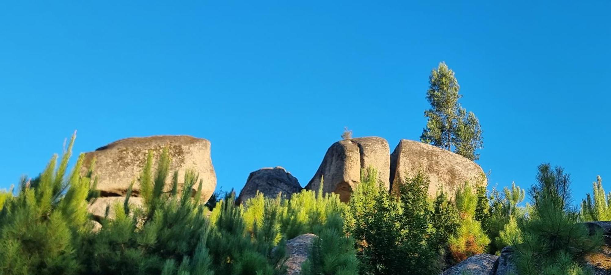 Lagares da BeiraQuinta Da Adarnela公寓 外观 照片